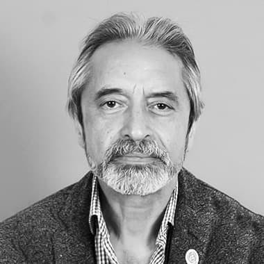 Prof. Ali Hessami